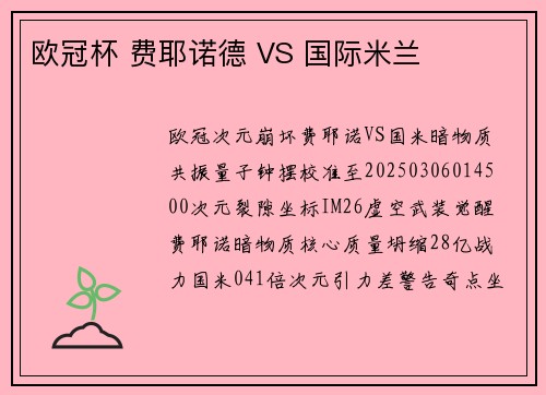 欧冠杯 费耶诺德 VS 国际米兰